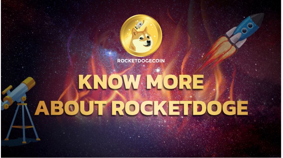 RocketDoge: Omdannelse af et meme -token til et decentraliseret økosystem